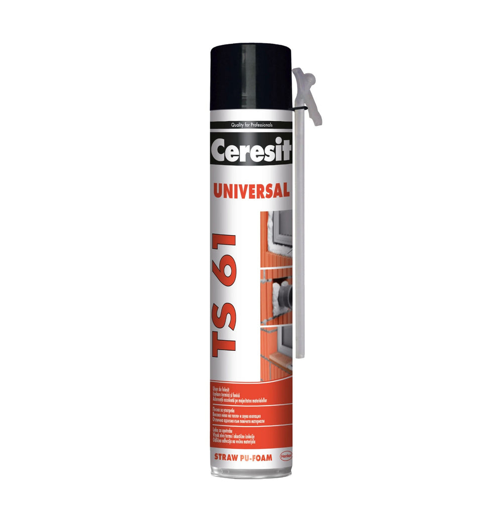 SPUMA 300ML CERESIT