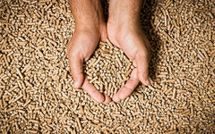 PELETI RASINOASE 15KG
