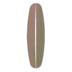 RAMA DECORATIVA (MARO) ZIRVE